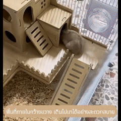 2-story hamster house, wooden, easy to assemble, for hamsters and small pets.