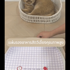 แผ่นรองชามอาหารสัตว์เลี้ยง ป้องกันการหก ขนาด 45*30 ซม.