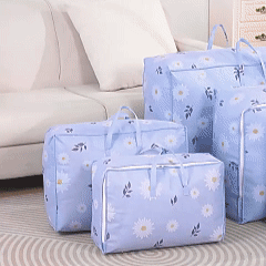 Large capacity storage bag