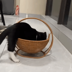 หวายแมวกรง เตียงแมวขนาดใหญ่ ตะกร้าแขวน วัสดุธรรมชาติ  สานกึ่งปิด ตะกร้าแขวนฤดูร้อน