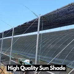 Sunshade net, light-blocking net, translucent net, durable, UV protection