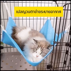 Pet hammock, pet blanket, breathable mesh fabric, sleeping bed, cat hammock bed, adjustable, cat play swing, cat hanging cage