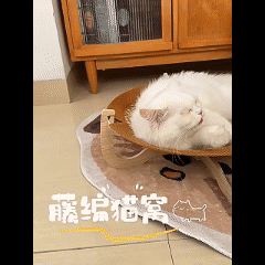 Cat bed, dog house, dog bed, cat bed, wooden cat condo. Takes up little space, strong, cool, and well-ventilated.
