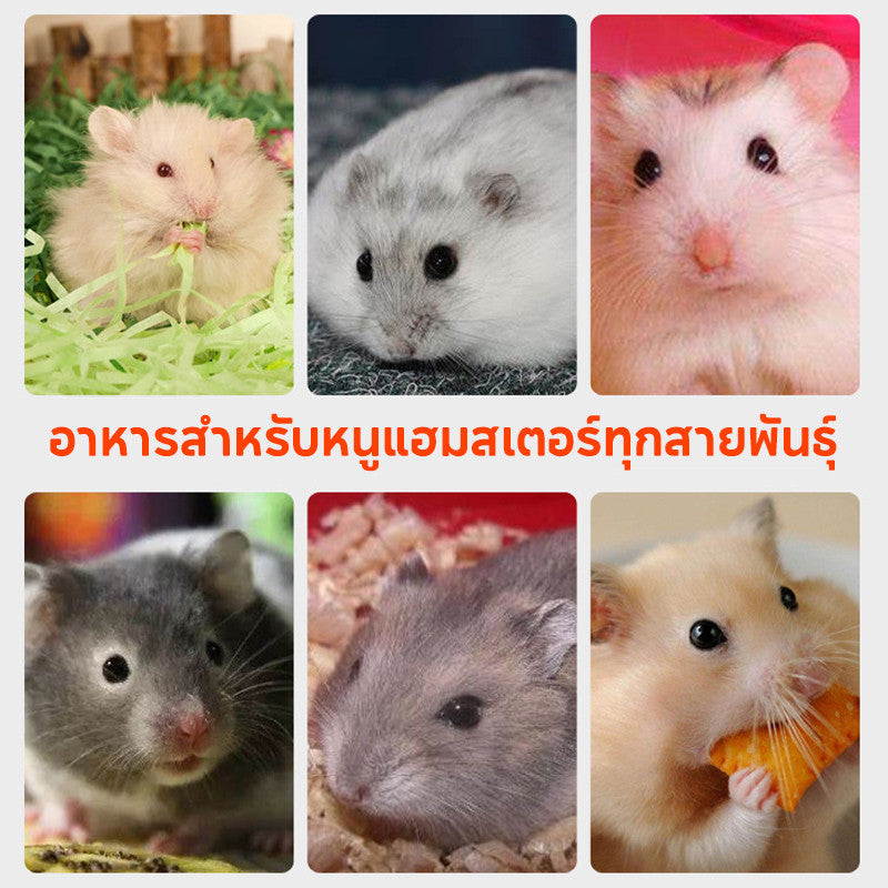 สูตรอาหารธัญพืชสำหรับหนูแฮมสเตอร์ - 图片5