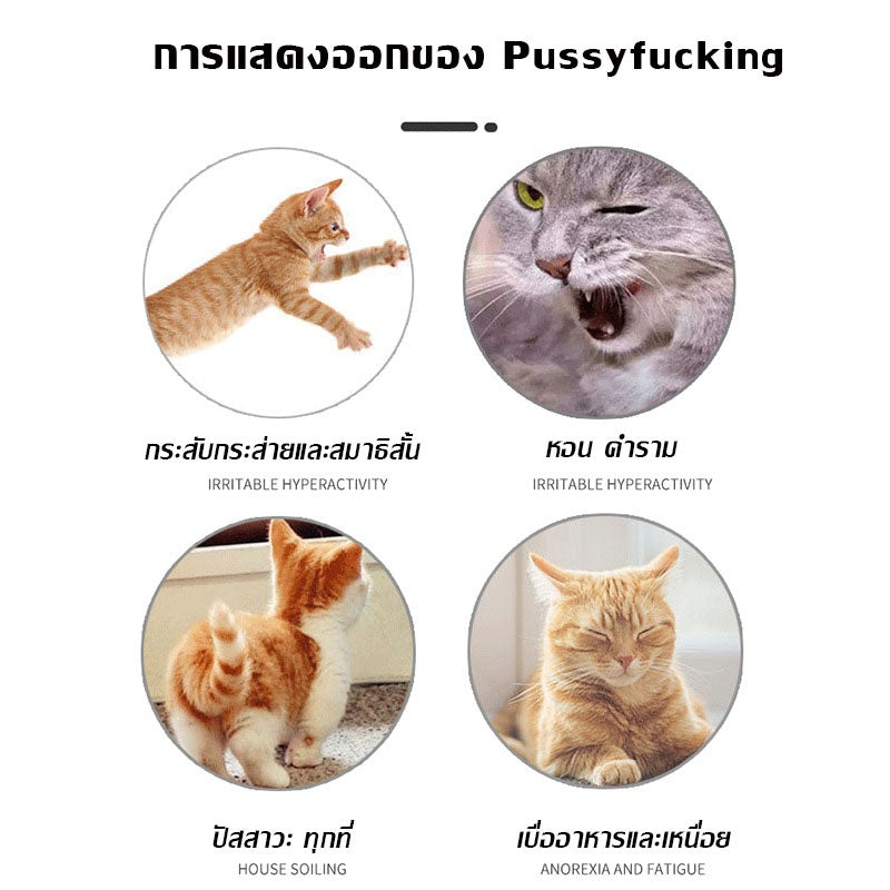 ยาปลุกอารมณ์ทางเพศสำหรับแมว - 图片7