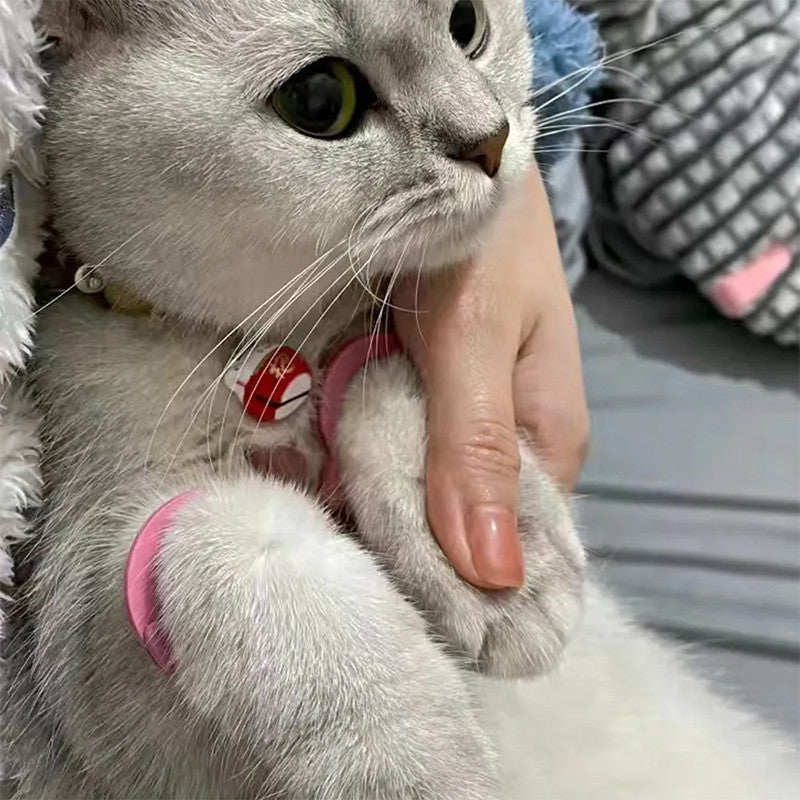 ของเล่นสัตว์เลี้ยง, กุญแจมือแมวเพื่อป้องกันไม่ให้แมวเดินไปมา - 图片2