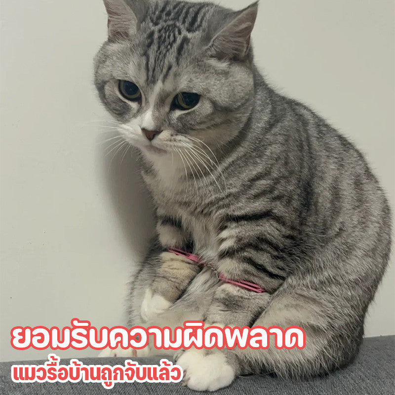 ของเล่นสัตว์เลี้ยง, กุญแจมือแมวเพื่อป้องกันไม่ให้แมวเดินไปมา - 图片1