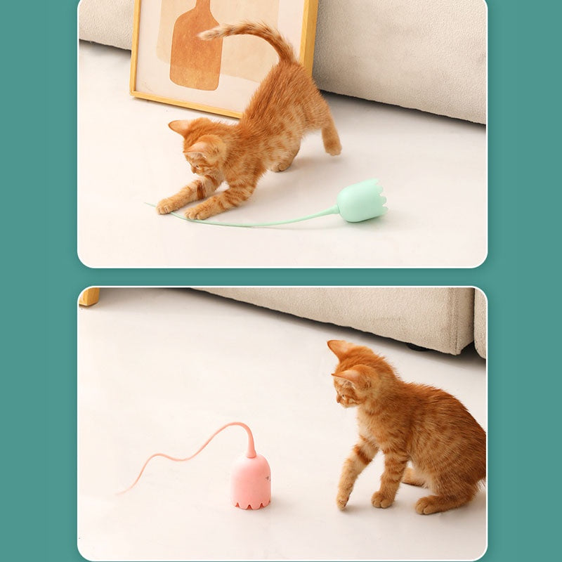 ของเล่นลูกแมวอัตโนมัติเรืองแสงในที่มืด - 图片1