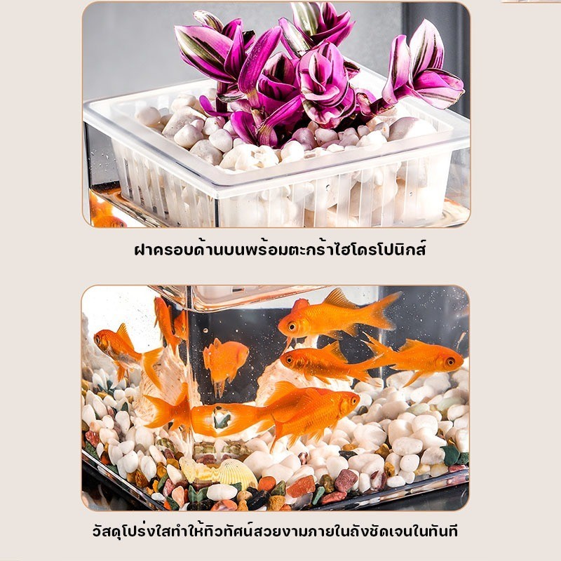 ตู้ปลาตั้งโต๊ะขนาดเล็ก ทำจากวัสดุอะคริลิค - 图片2