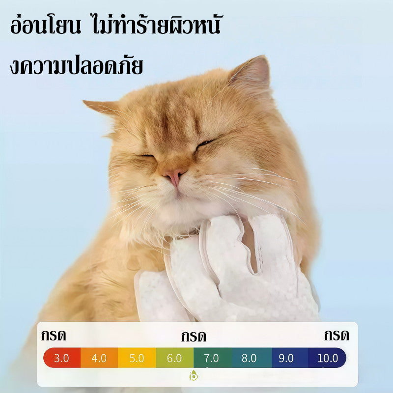 ถุงมือทำความสะอาดสัตว์เลี้ยง - 图片6