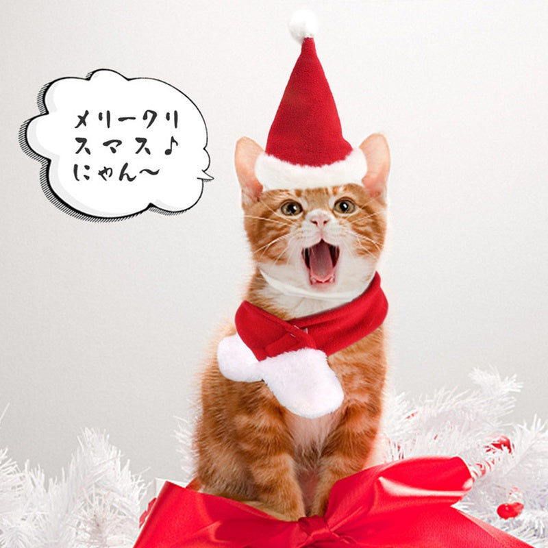 หมวกคริสต์มาสสำหรับสัตว์เลี้ยง เสื้อผ้าสัตว์เลี้ยง - 图片3