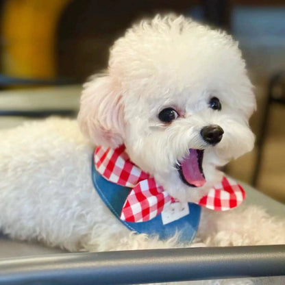 ผ้าพันคอสามเหลี่ยมสำหรับสัตว์เลี้ยง - 图片2