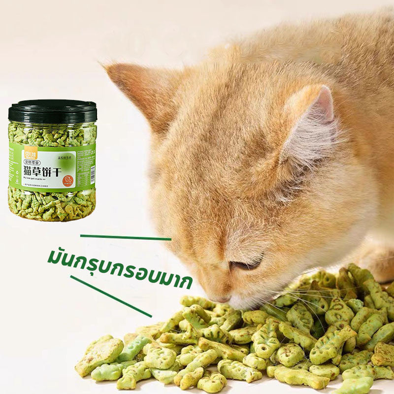 ขนมแมว บิสกิตแมวรสมิ้นต์ - 图片8