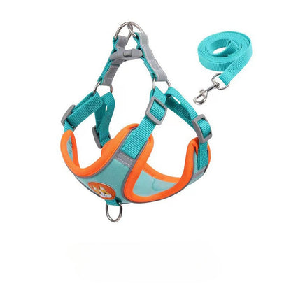 สายจูงสัตว์เลี้ยงสะท้อนแสงหลากสีสัน - 图片18