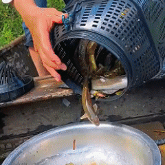 Collapsible fishing trap, fish net, shrimp trap, fish cage, foldable, waterproof PP plastic, outdoor fishing