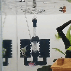 Aquarium sponge filter, fish tank water filter, sponge filter, increases oxygen, shrimp tank, fish tank, air pump, easy to clean