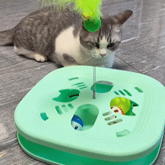 Cat toys, cat hideaway box, cat wand, puzzle ball, for independent play, stress relief, for all ages, durable