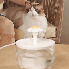Automatic Cat Water Fountain, USB Silent Pet Water Dispenser, Filters Water, Easy to Disassemble and Clean, Safe for Cats and Dogs