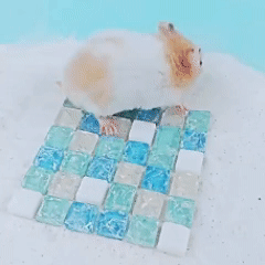 Hamster Cooling Pad, Small Animal Cooling Pad, Quick-cooling Crystal, Safe, Durable. For use in cages, with mice, rabbits.