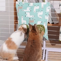 Rabbit Hay Bag, Hanging Hay Feeder with 3 Holes, Convenient for Pet Rabbits to Eat, Space-Saving
