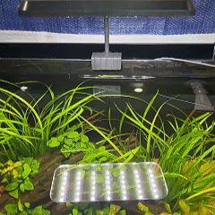 Aquarium light, aquarium lamp, aquatic plant light, adjustable angle, waterproof, natural light, fish tank, ornamental fish