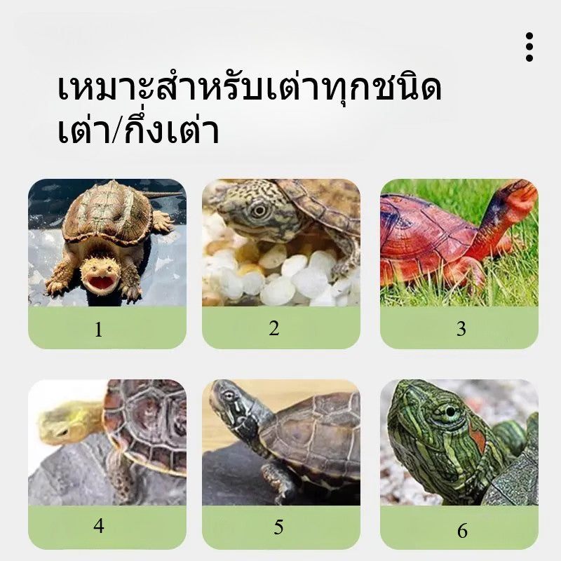 ตู้เลี้ยงเต่าคุณภาพสูง ตู้เลี้ยงเต่าที่มีแผ่นรองด้านในเปลี่ยนได้ง่าย - 图片3