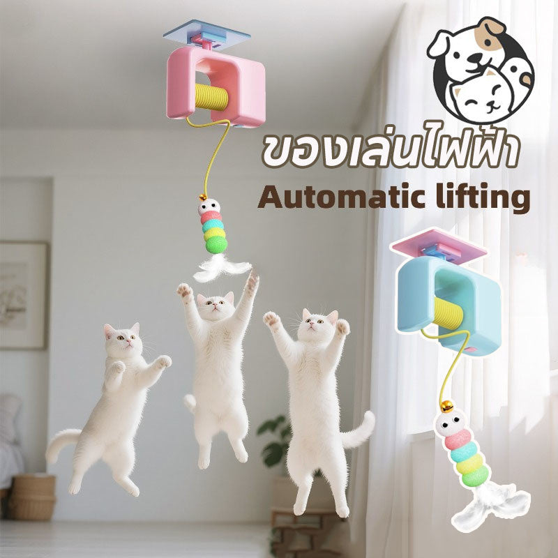 ของเล่นแมวติดประตูอัตโนมัติ - 主图