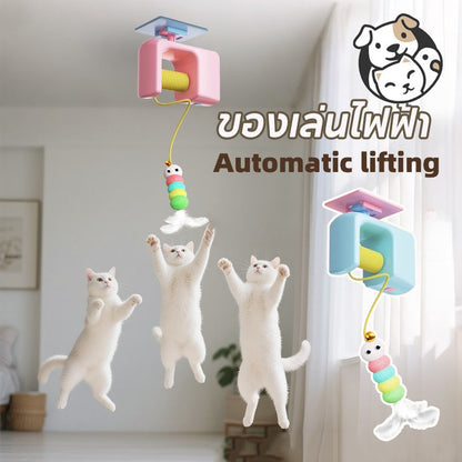 ของเล่นแมวติดประตูอัตโนมัติ - 主图