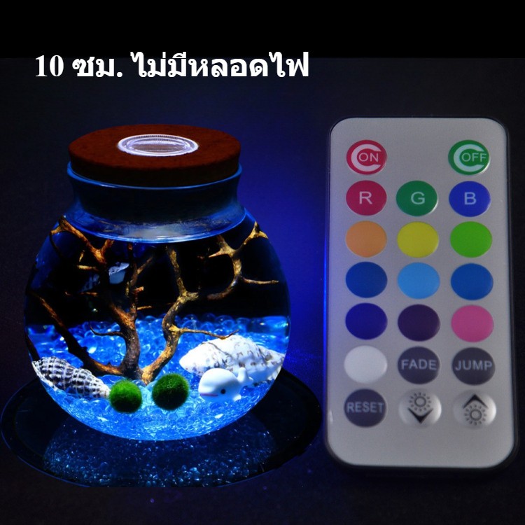 ตู้เลี้ยงปลาเบต้าพลาสติกใส พร้อมไฟ LED - 图片15