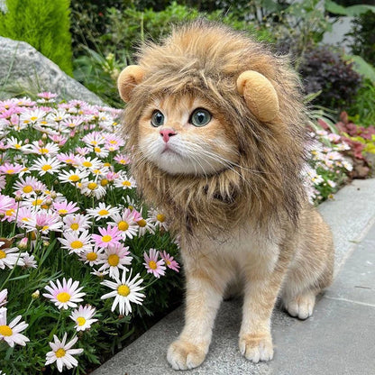 วิกผมแมวน่ารัก วิกผมสิงโต - 主图