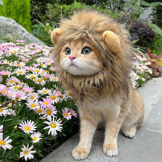 วิกผมแมวน่ารัก วิกผมสิงโต - 主图