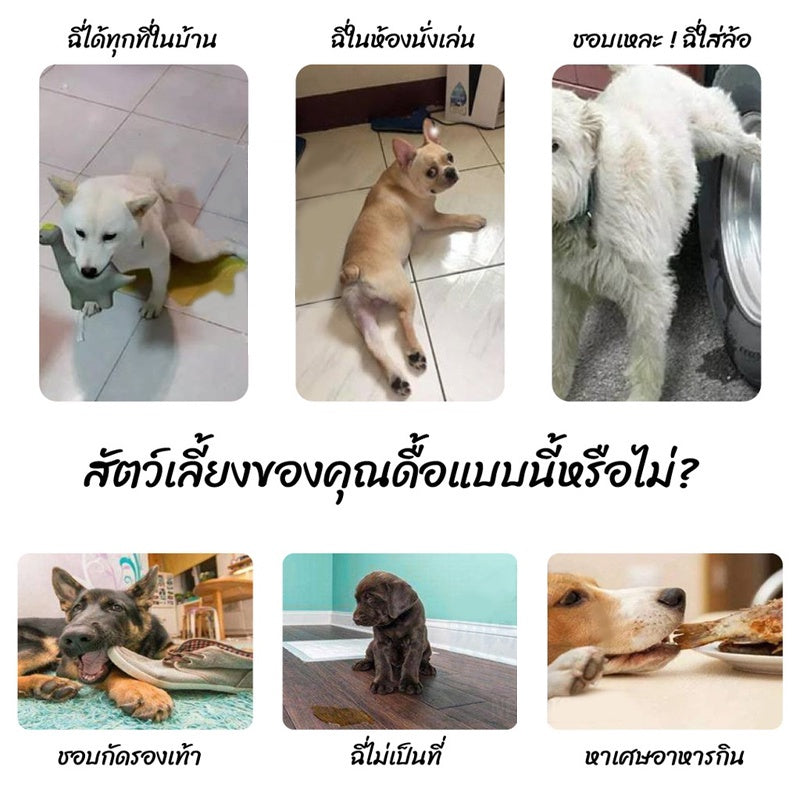 สเปรย์ฝึกทดสอบปัสสาวะสัตว์เลี้ยง - 图片1