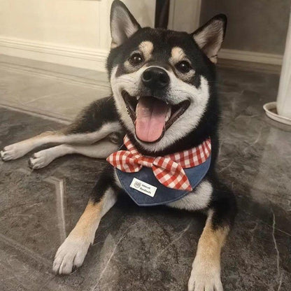 ผ้าพันคอสามเหลี่ยมสำหรับสัตว์เลี้ยง - 图片4