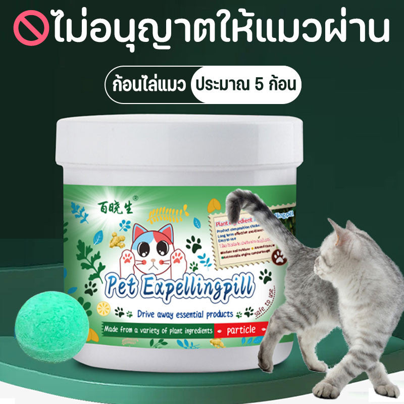 ดอดจ์บอลสัตว์เลี้ยง - 主图