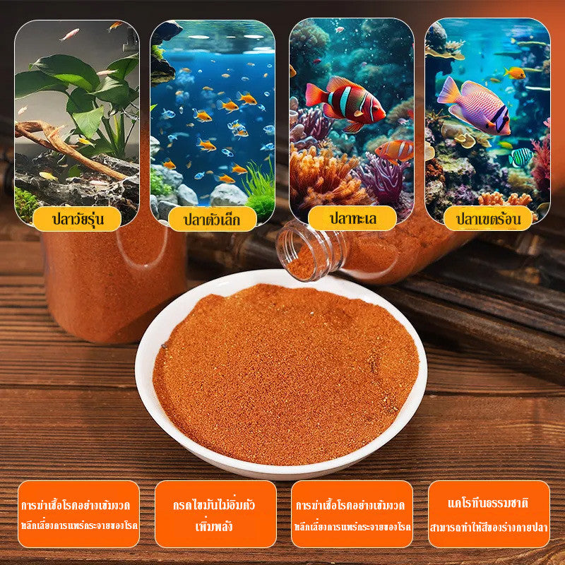 อาหารปลากัด, ไข่กุ้งน้ำเค็ม, ไรน้ำสด, อาหารลูกปลา - 图片3