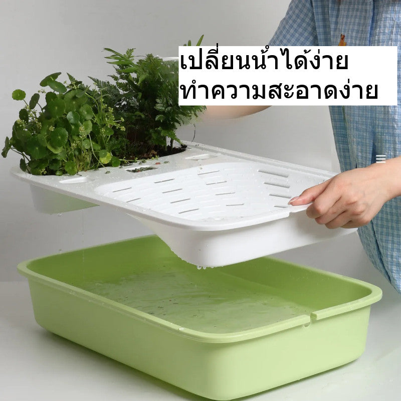 ตู้เลี้ยงเต่าคุณภาพสูง ตู้เลี้ยงเต่าที่มีแผ่นรองด้านในเปลี่ยนได้ง่าย - 图片1