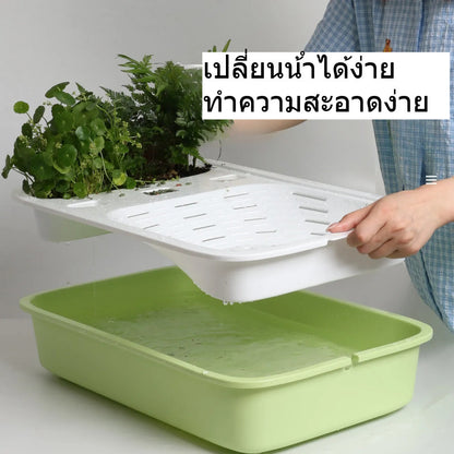 ตู้เลี้ยงเต่าคุณภาพสูง ตู้เลี้ยงเต่าที่มีแผ่นรองด้านในเปลี่ยนได้ง่าย - 图片1