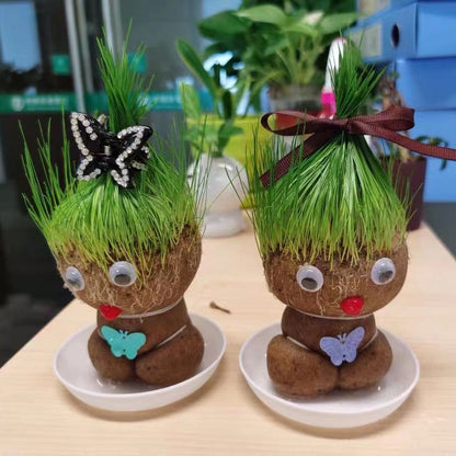 ตุ๊กตาหัวหญ้าหญ้าแมวอินทรีย์ - 图片6