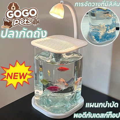 ตู้เลี้ยงปลาเบต้าพลาสติกใส พร้อมไฟ LED - 主图