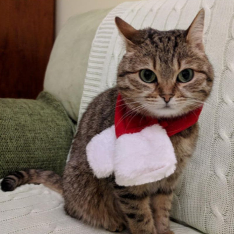 หมวกคริสต์มาสสำหรับสัตว์เลี้ยง เสื้อผ้าสัตว์เลี้ยง - 图片4