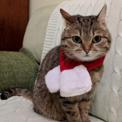 หมวกคริสต์มาสสำหรับสัตว์เลี้ยง เสื้อผ้าสัตว์เลี้ยง - 图片4