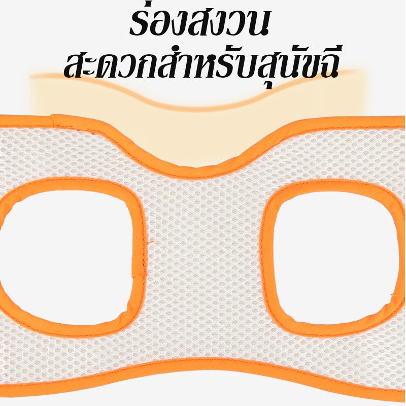 เข็มขัดพยุงขาหลังสัตว์เลี้ยง - 图片4
