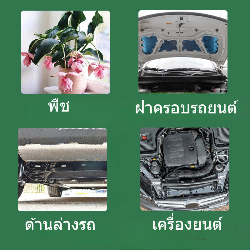 ดอดจ์บอลสัตว์เลี้ยง - 图片1