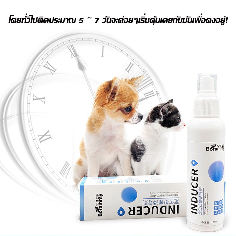 สเปรย์ฝึกทดสอบปัสสาวะสัตว์เลี้ยง - 图片3