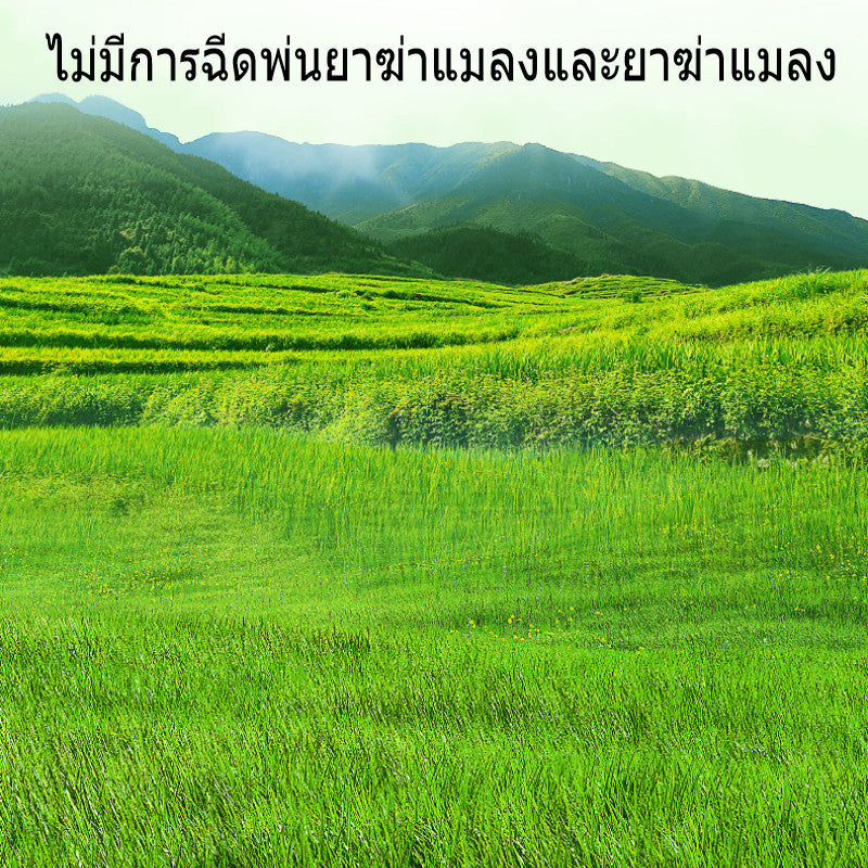 หญ้าแห้งข้าวสาลีสำหรับกระต่าย หญ้าทิโมธี - 图片5