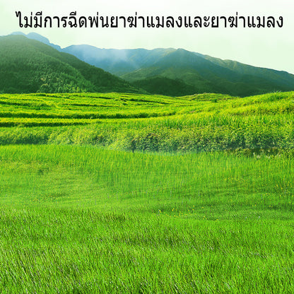 หญ้าแห้งข้าวสาลีสำหรับกระต่าย หญ้าทิโมธี - 图片5