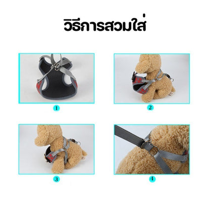 สายจูงธีมคริสต์มาส - 图片4