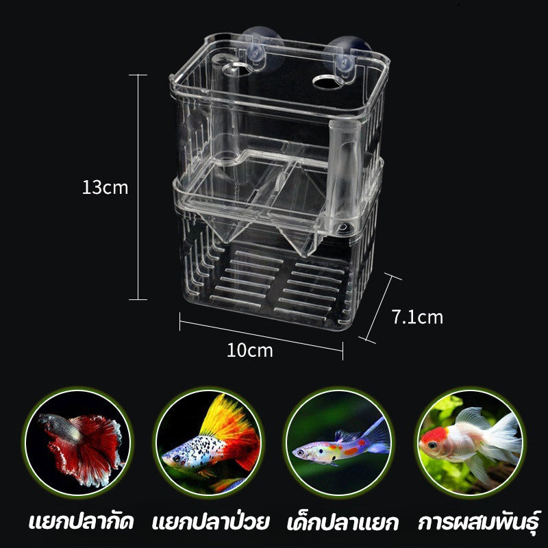 กล่องเพาะพันธุ์ปลาอเนกประสงค์แบบแยกส่วน - 图片1