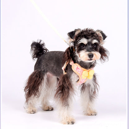 สายจูงสัตว์เลี้ยง - 图片5