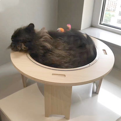 รังแมวแคปซูลอวกาศ - 图片3